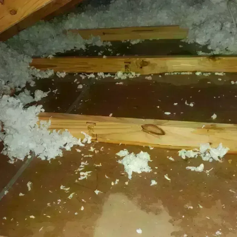 Attic Water Damage in Morgan County, IN