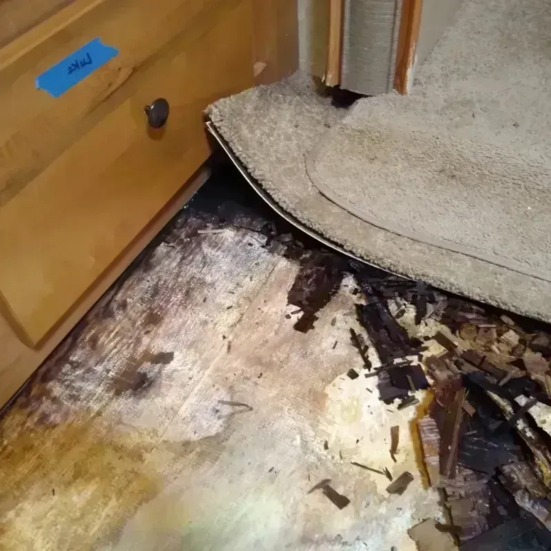 Best Wood Floor Water Damage Service in Morgan County, IN